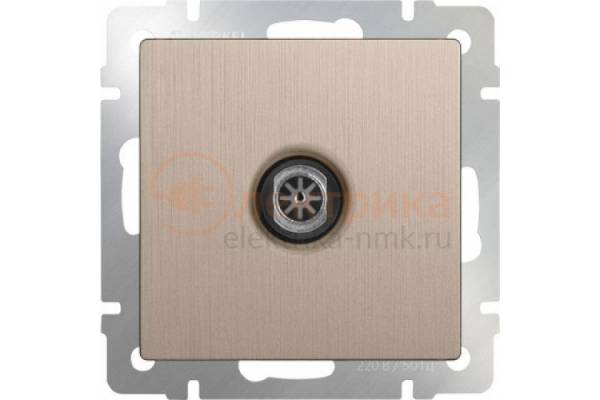 Werkel шампань розетка ТВ оконечная