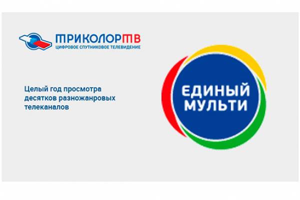 карта Единый МУЛЬТИ 1год