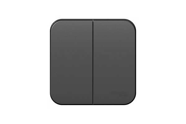 BLANCA выключатель 2-кл. 10А IP2 антрацит Schneider Electric