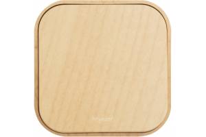 Переключатель на 2 направления 1-кл. ОП Quteo 10А IP20 10AX дерево Leg 782264