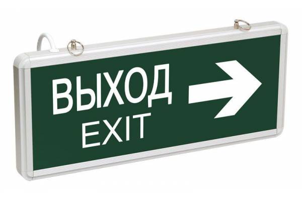 Светильник светодиодный ССА 1004 