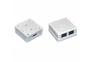 Розетка информационная RJ45 кат.5е UTP 2-порта настенная ITK CS2-1C5EU-22