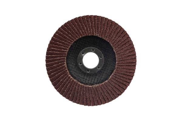 Круг лепестковый торцевой P 80 125х22.2мм Rexant 90-0014